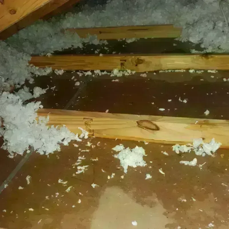 Attic Water Damage in Kiawah Island, SC