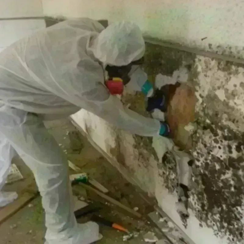 Mold Remediation and Removal in Kiawah Island, SC